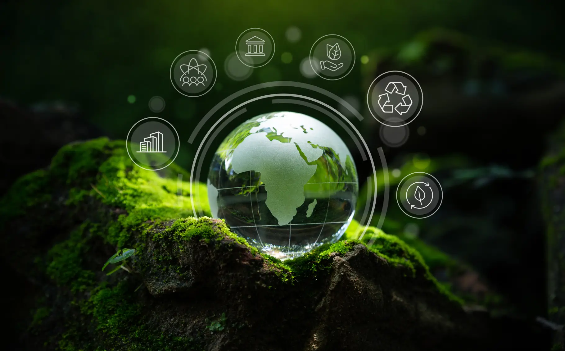 kaleli proje inşaat mühendislik